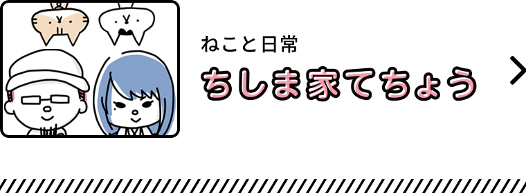 ねこと日常：ちしま家てちょう